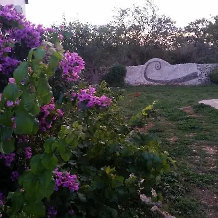 Bed & Breakfast Tenuta Patruno Perniola
